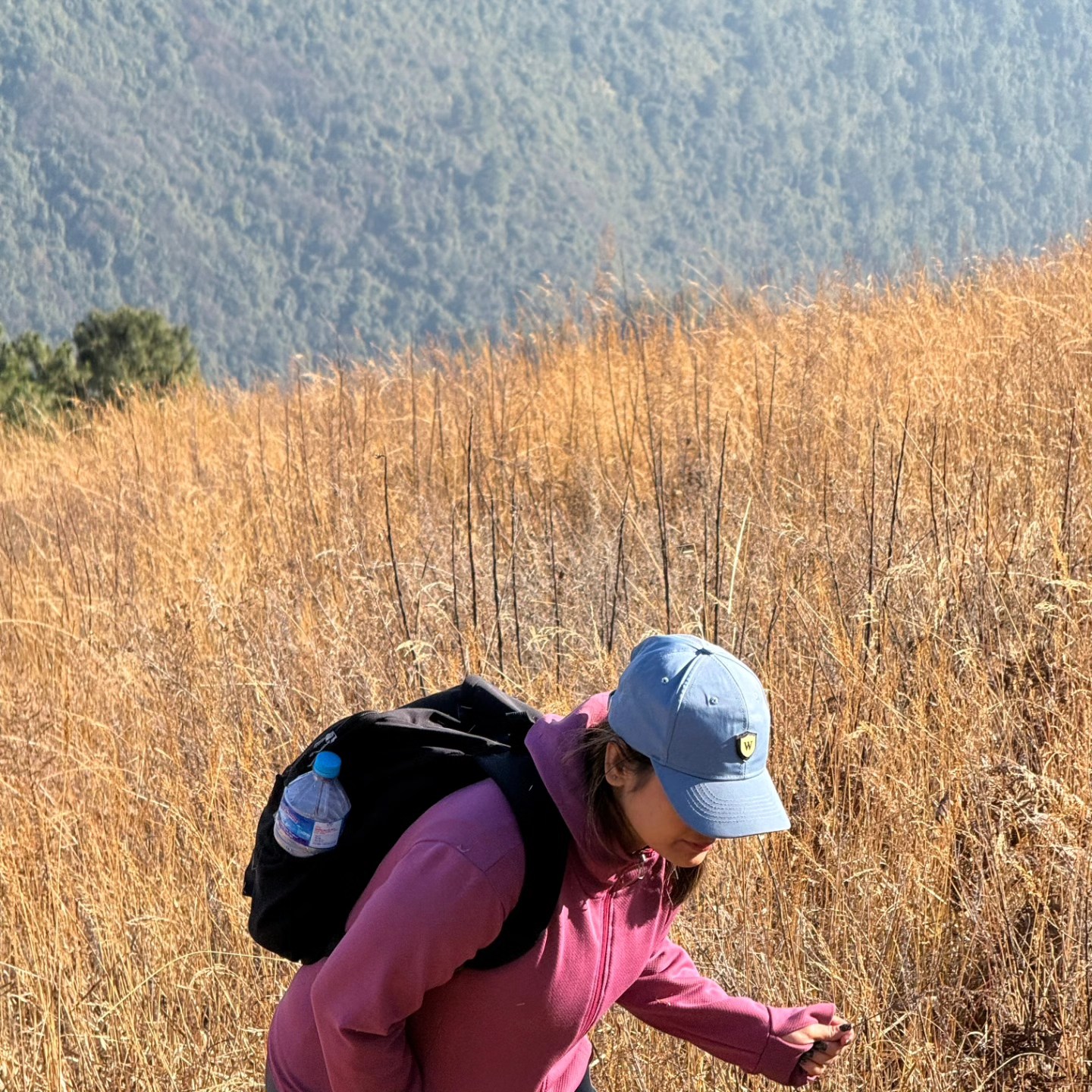 612507928 4391967394367650 2774650497551800389 n