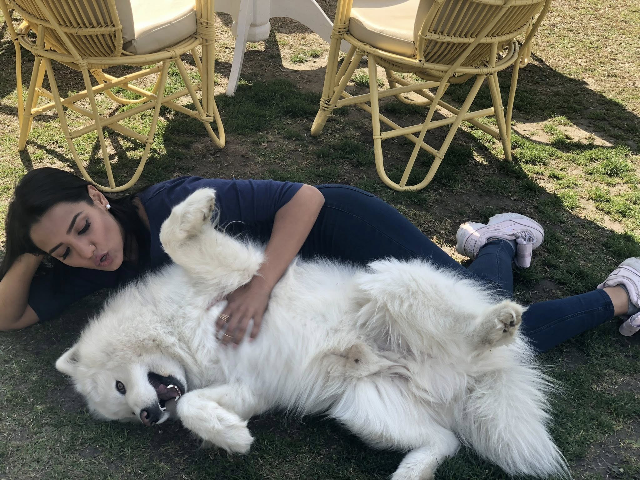 626805171 1433812778109966 7711985690985515052 n