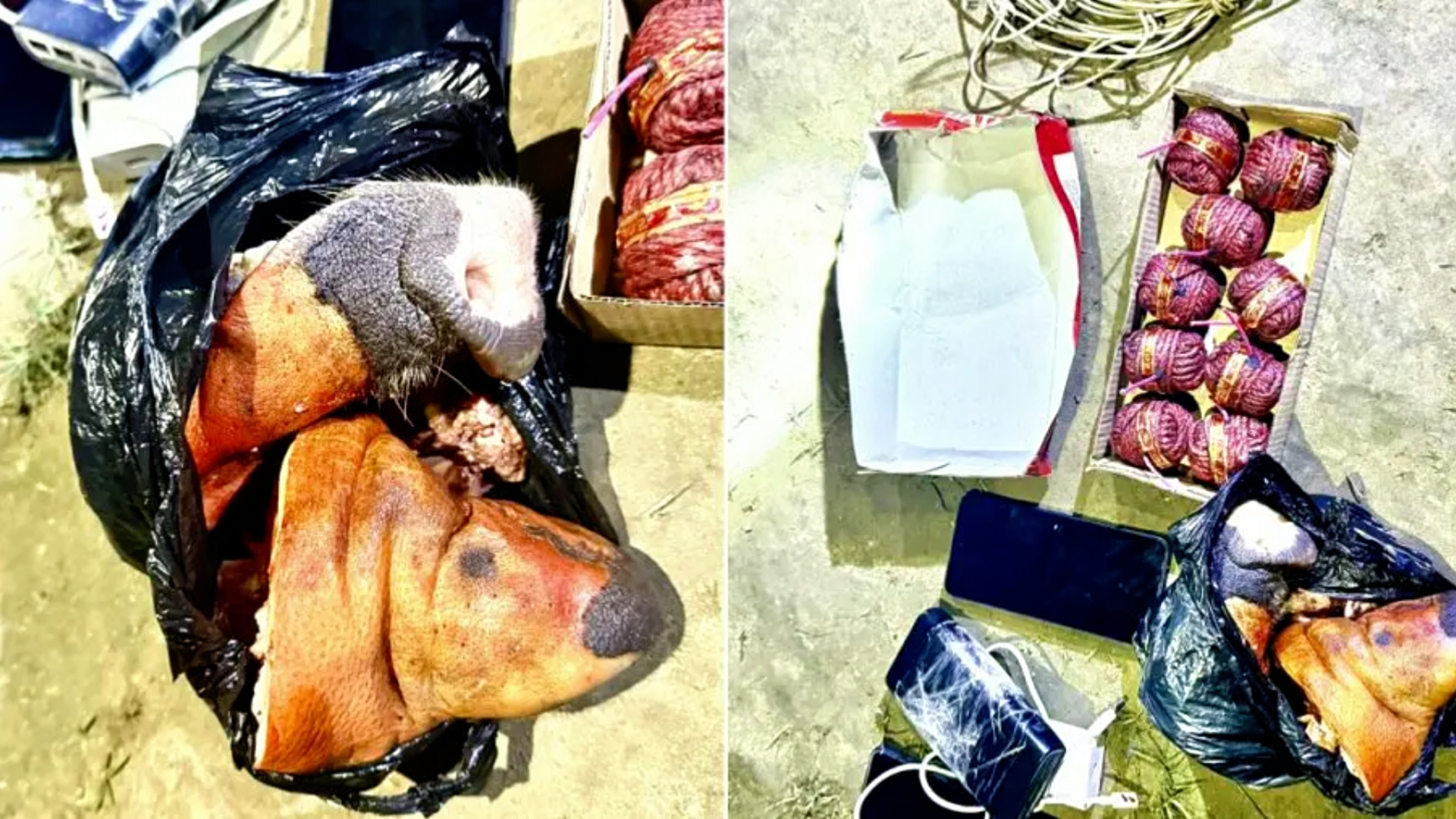 Violence-triggering materials found in Birgunj, police alarmed 1 Pig In Birjung