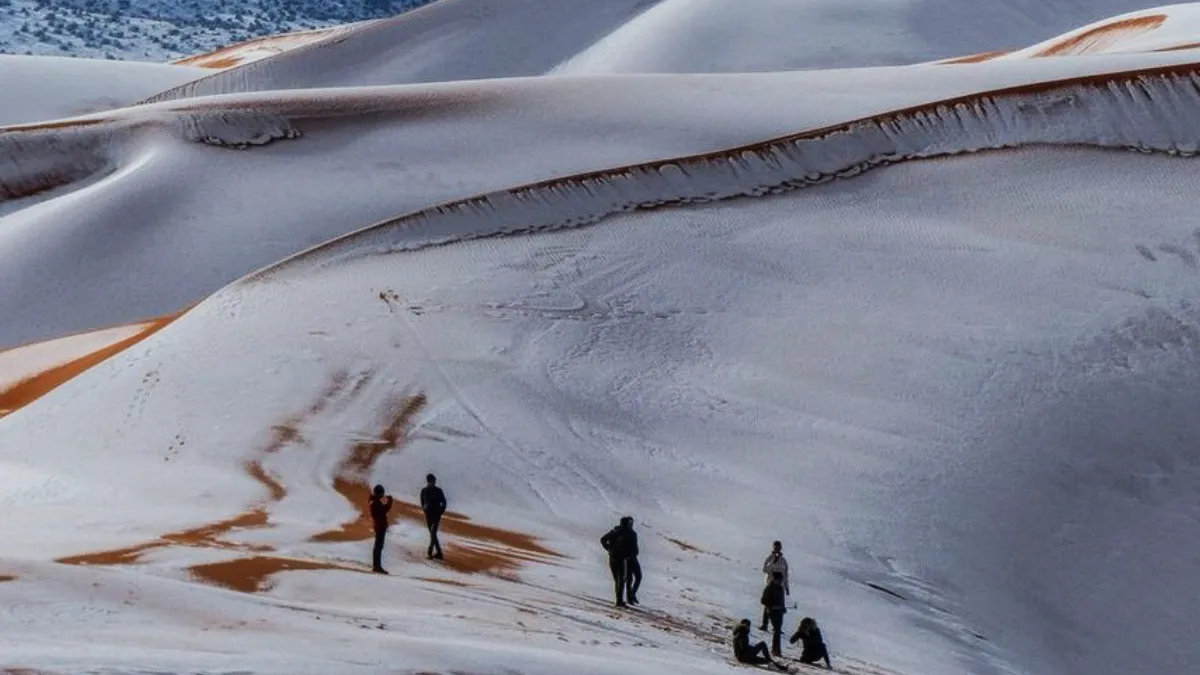 SNOW Falls In The SAHARA Ice Blankets The Dunes In Rare Desert Phenomenon After Temperatures Plummeted Overnight 5